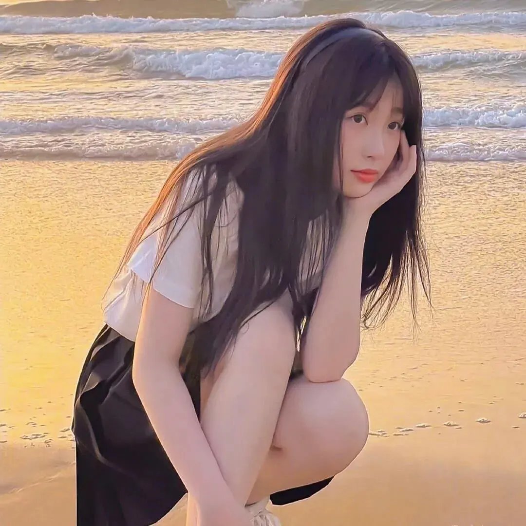 三只流浪猫